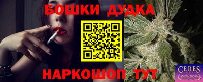 PSILOCYBIN Будённовск