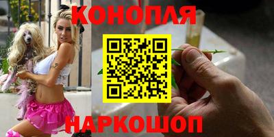 PSILOCYBIN Будённовск