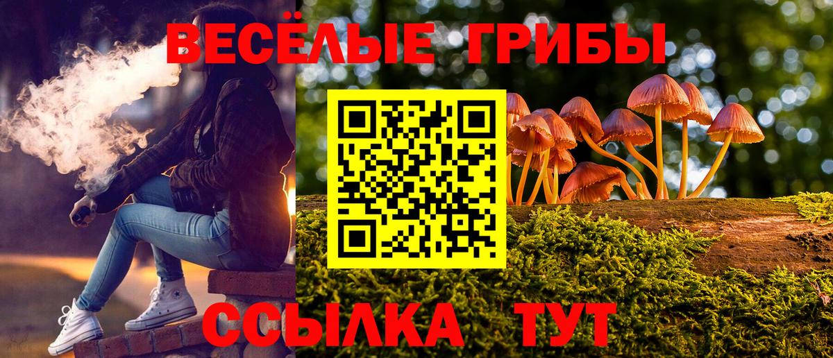 Галлюциногенные грибы прущие грибы Краснодар