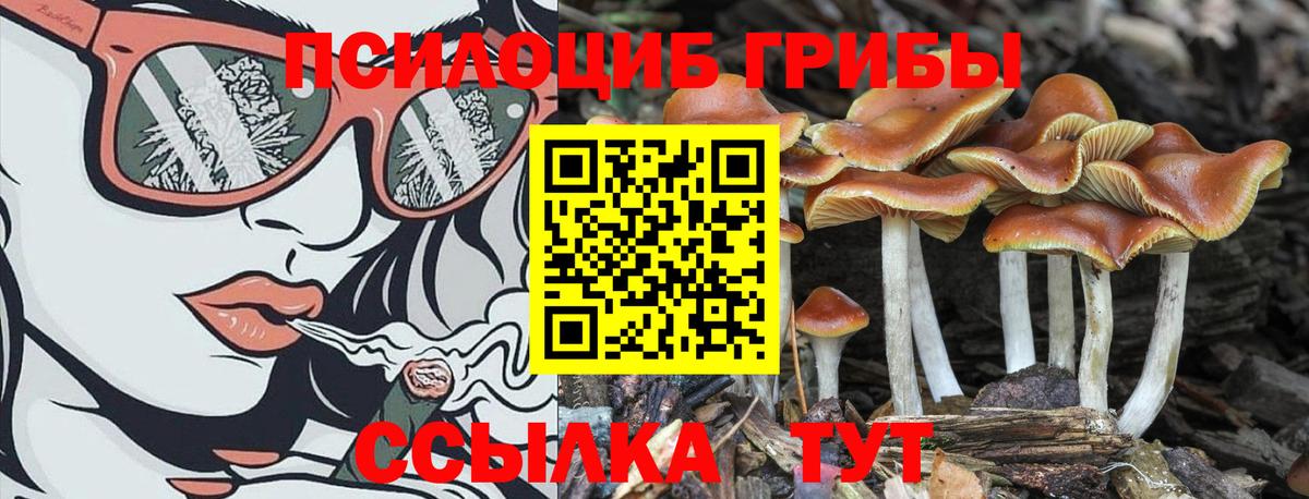 Alpha-PVP Краснодар